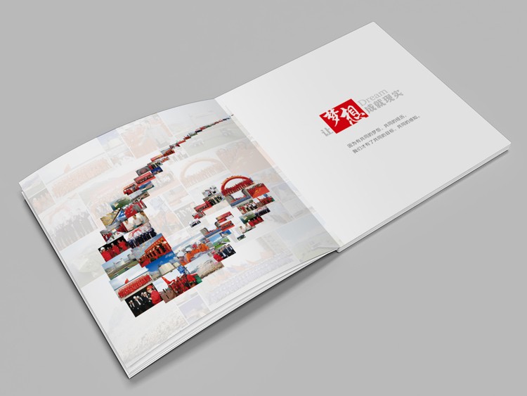 珠海LNG商標設計,珠海LNG logo設計,珠海LNG畫冊設計