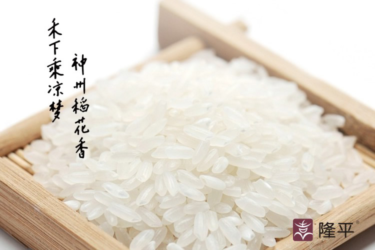 隆平大米包裝設(shè)計,隆平大米畫冊設(shè)計