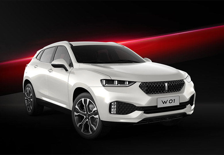 長(zhǎng)城汽車(chē)魏派（WEY）LOGO，長(zhǎng)城汽車(chē)魏派WEY標(biāo)志，長(zhǎng)城汽車(chē)品牌形象設(shè)計(jì)，汽車(chē)標(biāo)志，汽車(chē)LOGO