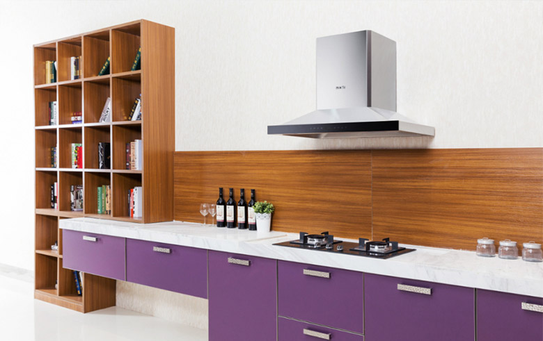 帥康標(biāo)志，帥康LOGO，帥康品牌形象設(shè)計(jì)，廚衛(wèi)電器品牌