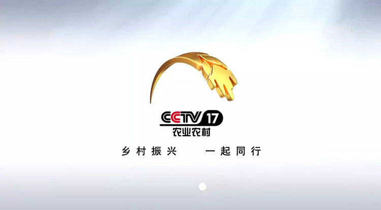 CCTV-17農(nóng)業(yè)農(nóng)村頻道LOGO,CCTV-17農(nóng)業(yè)農(nóng)村頻道標(biāo)志,CCTV-17農(nóng)業(yè)農(nóng)村頻道品牌形象設(shè)計(jì)