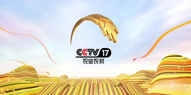 CCTV-17農(nóng)業(yè)農(nóng)村頻道LOGO,CCTV-17農(nóng)業(yè)農(nóng)村頻道標(biāo)志,CCTV-17農(nóng)業(yè)農(nóng)村頻道品牌形象設(shè)計(jì)