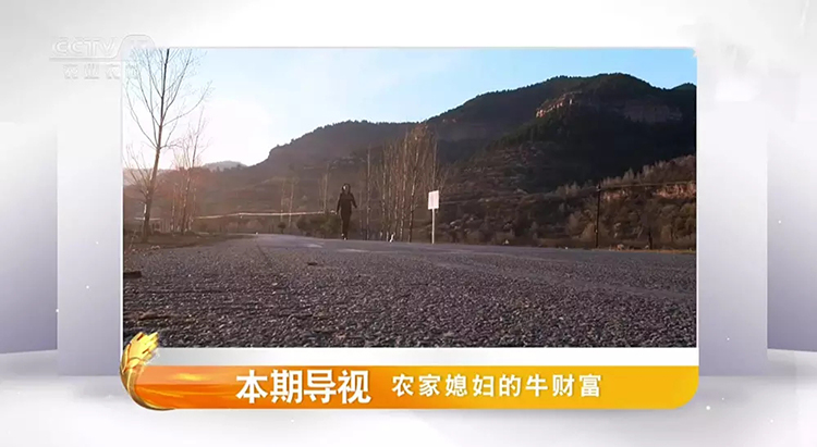 CCTV-17農(nóng)業(yè)農(nóng)村頻道LOGO,CCTV-17農(nóng)業(yè)農(nóng)村頻道標(biāo)志,CCTV-17農(nóng)業(yè)農(nóng)村頻道品牌形象設(shè)計(jì)