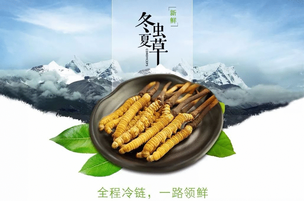 賣點(diǎn),產(chǎn)品,創(chuàng)意,策劃