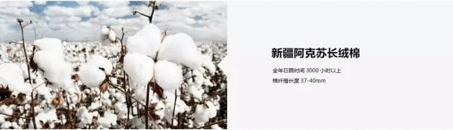 賣點(diǎn),產(chǎn)品,創(chuàng)意,策劃