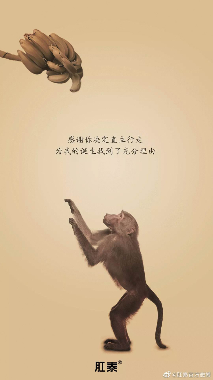 感恩節(jié),品牌,海報(bào),設(shè)計(jì)