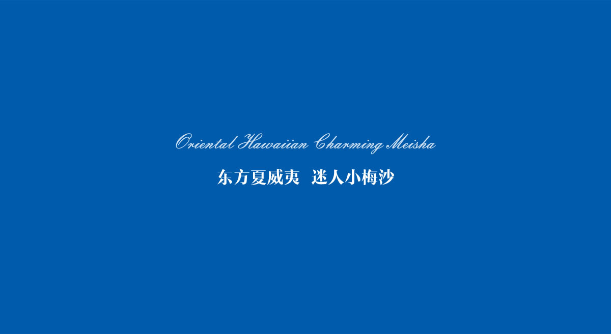小梅沙品牌畫冊(cè)策劃設(shè)計(jì)_全力設(shè)計(jì)