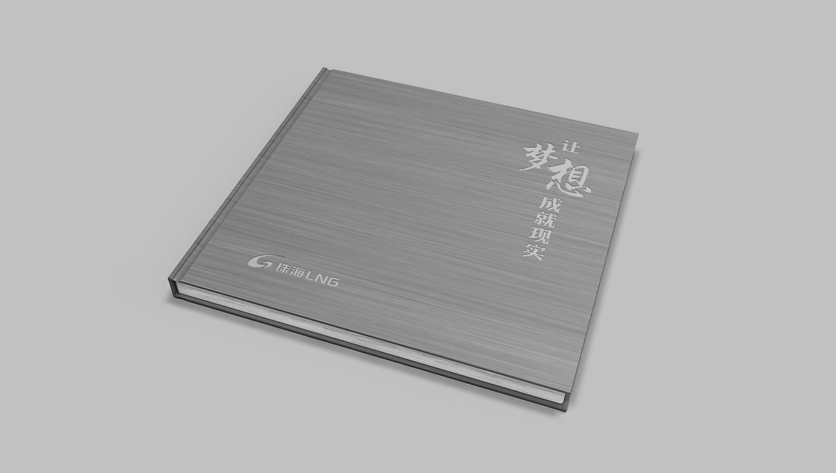 珠海LNG商標(biāo)設(shè)計(jì),珠海LNG logo設(shè)計(jì),珠海LNG畫冊設(shè)計(jì)