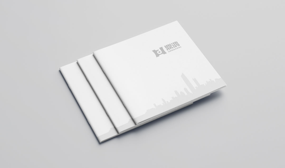 鼎鴻,深圳鼎鴻發(fā)展顧問有限公司,鼎鴻畫冊策劃設(shè)計(jì)