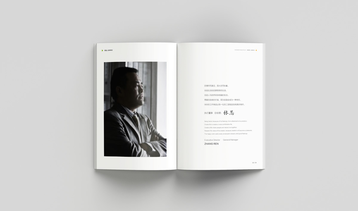 雄獅景觀畫冊設(shè)計,雄獅景觀標(biāo)志設(shè)計,雄獅景觀品牌形象設(shè)計,雄獅景觀LOGO設(shè)計