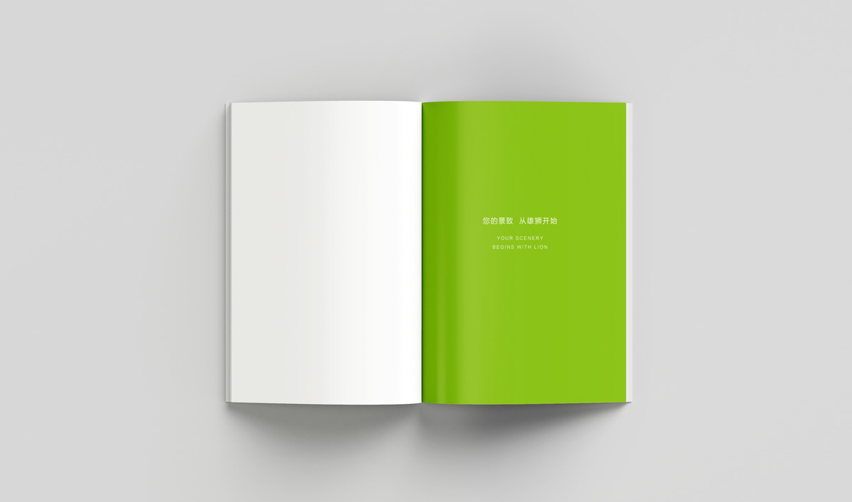 雄獅景觀畫冊設(shè)計,雄獅景觀標(biāo)志設(shè)計,雄獅景觀品牌形象設(shè)計,雄獅景觀LOGO設(shè)計